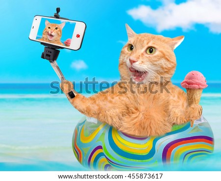 Cat relaxing on air mattress in the sea taking a selfie together with a smartphone.