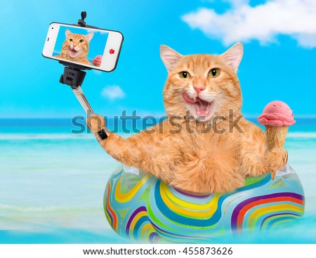 Cat relaxing on air mattress in the sea taking a selfie together with a smartphone.