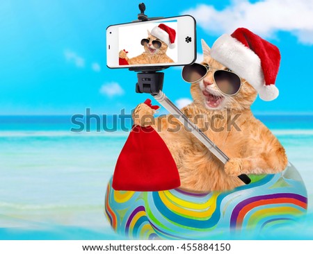 Cat in red Christmas hat relaxing on air mattress in the sea taking a selfie together with a smartphone.