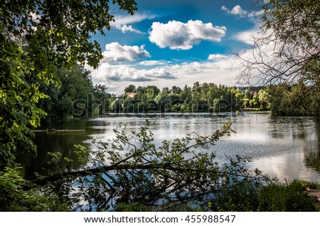 landscape on the lake in the forest