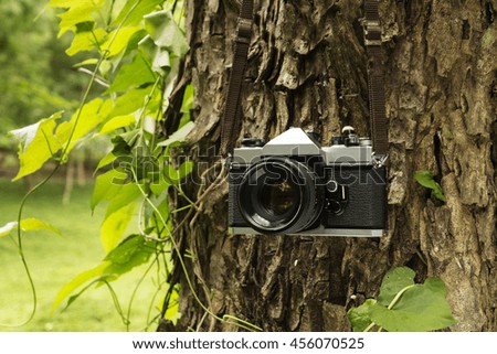 Old camera hanging on a tree. sepia style image.