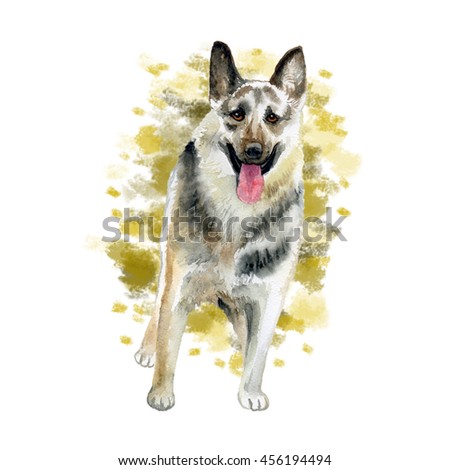 Watercolor closeup portrait of large East-European Shepherd breed dog isolated on abstract background. Large longhair working dog. Hand drawn sweet home pet. Greeting birthday card design. Clip art