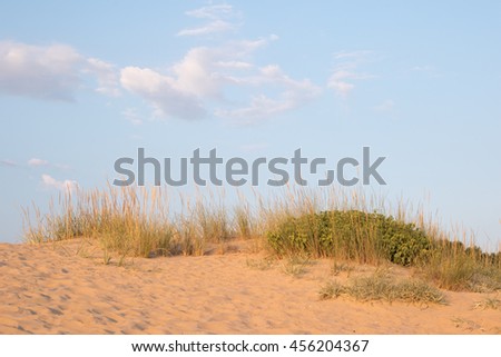 Blue sky over a  dune rim 