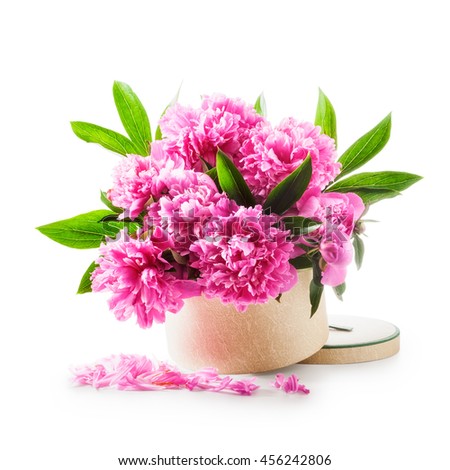 Peony flowers. Romantic bouquet of pink peonies in gift box isolated on white background clipping path included. Holiday present