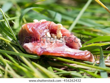 Meat with egg flies and soft focus