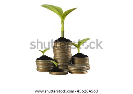 Stack of coins isolated - Investment And Interest Concept