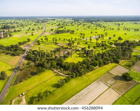 Aerial view of rice fields in Thailand