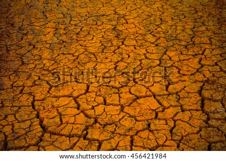 Cracks of the dried soil in arid season.