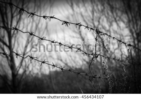 Metal rusty barbed wire border with thorns. Vintage black and white. Freedom concept