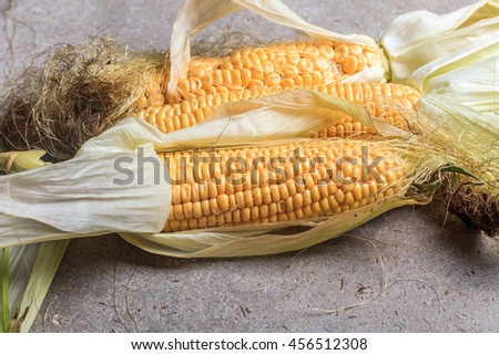corn on the cob on a concrete background