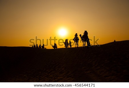 Beautiful sunset with camels silhouettes in dunes at desert , Jaisalmer,India