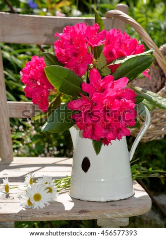 Rhododendron flowers in a white milk jug