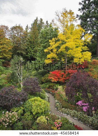 Charming multi-colour flower bed and footpath in well-known Butchard-garden in Canada