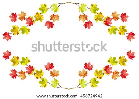  leaves isolated on white background. Golden autumn;