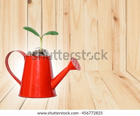 Small tree in the house,watering coins,abstract background concept