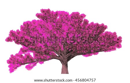 Ficus Microcarpa Tree Isolated on white background, 3D Illustration.