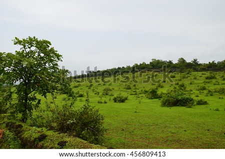 Monsoon Magic
Lush green hills of countryside Mangalore, Karnataka, India during monsoon
Located near Koppala, Bellore  25 km from Mangalore in Karnataka State, India