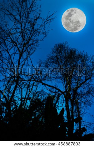 Silhouettes of dry tree against blue sky and beautiful full moon at night. Beauty of nature use as background. Outdoors. The moon were NOT furnished by NASA.