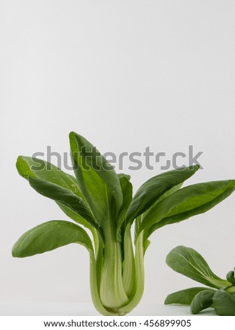 Chinese Spinach Isolated on White Background