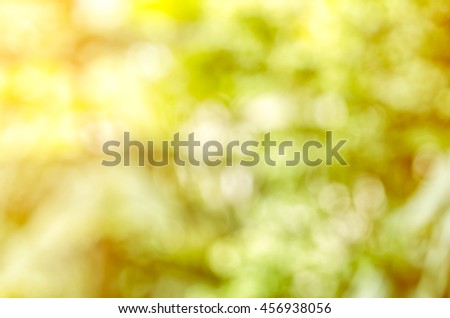 Abstract tree leaves circular bokeh background