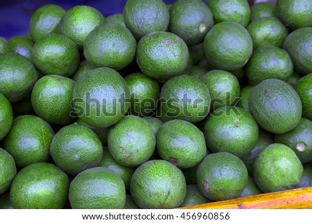 Bunch of green Avocados. One of them is opened that the stone and the pulp are visible.