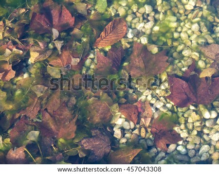 an autumn background with leaves and pebbles under frozen water