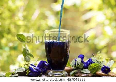 Butterfly pea, Blue pea (Clitoria ternatea L.): Butterfly pea juice helps neutralize free radicals in the body and strengthen the body's immune system and increase the body's energy.