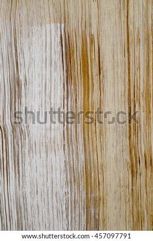 Wood patten texture