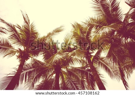 Beautiful coconut palm tree on sky - Vintage Filter