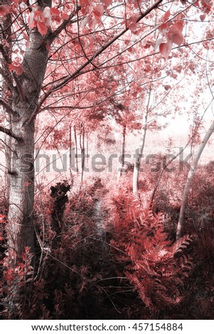 The Magical infrared efex