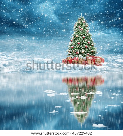 Beautiful christmas tree in a wonderful winter landscape near a lake