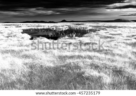 Infrared black and white rural landscape, Forsinard Scotland/