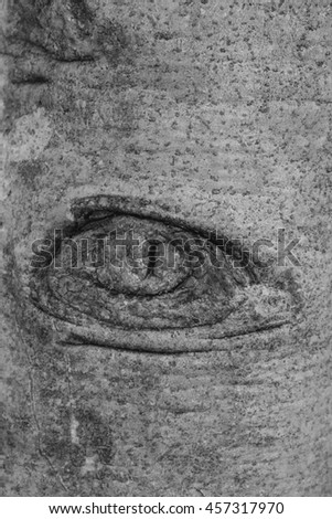 Eyes on tree in black and white filter