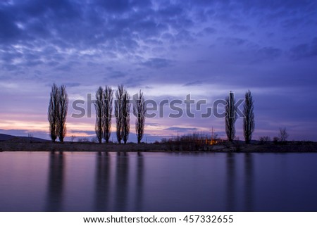 Poplars by the river in the sunset, in autumn