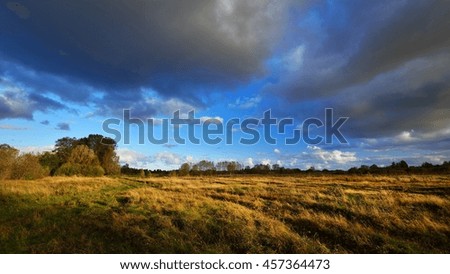 Autumn field landscape