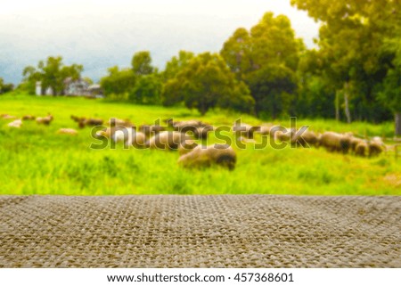 empty table with sack and blur farm sheep background can be used for product display template