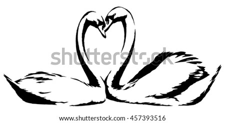 black and white linear paint draw swan bird illustration