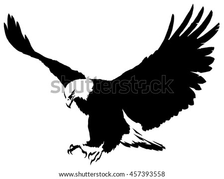 black and white linear paint draw eagle bird illustration