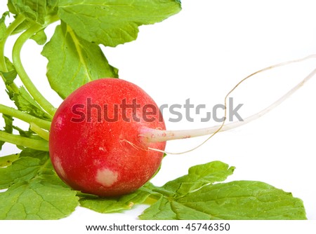 Fresh radish isolated on white background