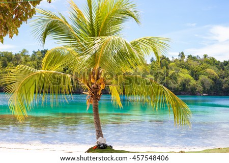 Photo Untouched Tropical Beach in Bali Island. Palm with fruits. Vertical Picture. Fishboat Blurred Background. Snorkeling Equipment