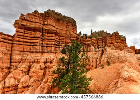 Red Canyon at Dixie National Forest in Utah, United States.