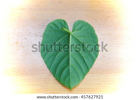 Leaf texture pattern on the wood background