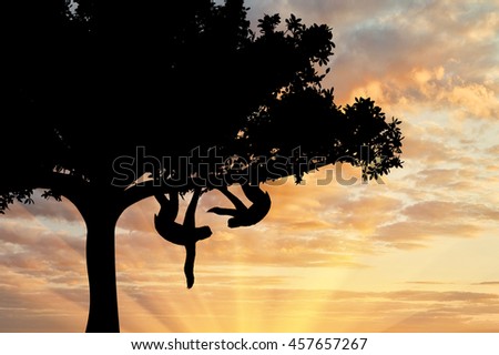 Pair sloths animals in a tree on sunset background