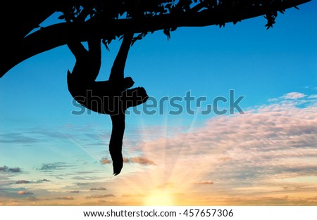 Sloth animal with a toddler in a tree on the sunset background