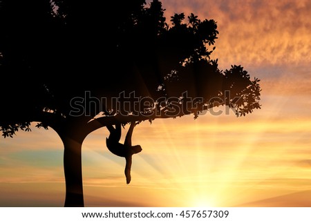 Sloth animal on the tree on the sunset background