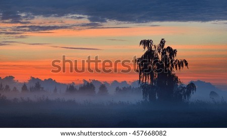 Colorful sunrise at the field with morning fog