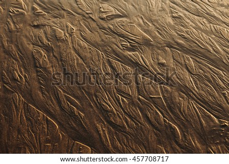 Sand beach background. Detailed sand texture picture.