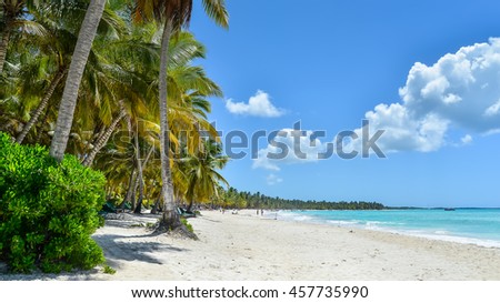 Sandy Caribbean Beach with Coconut Palm Trees. Photo from Saona Island, Dominican Republic.