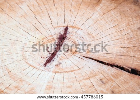 The surface of the wood cutting board for background and texture.