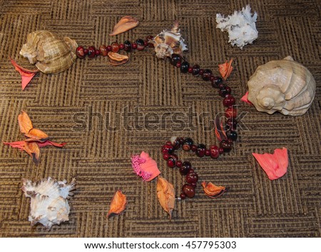 Shells and bead